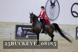25BUCKEYE_08185 proof