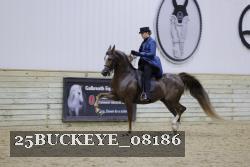 25BUCKEYE_08186 proof