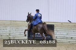 25BUCKEYE_08188 proof