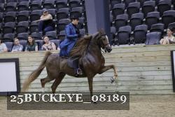 25BUCKEYE_08189 proof