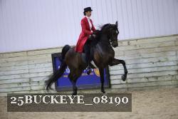 25BUCKEYE_08190 proof