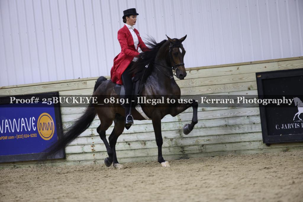 Proof 25BUCKEYE_08191