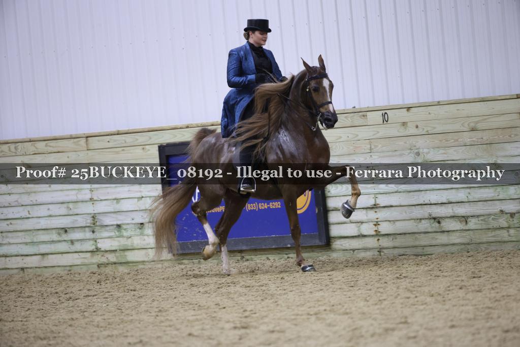 Proof 25BUCKEYE_08192