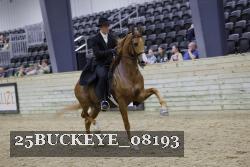 25BUCKEYE_08193 proof