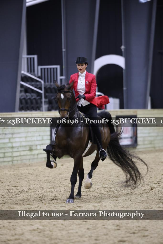 Proof 25BUCKEYE_08196