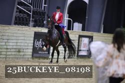25BUCKEYE_08198 proof