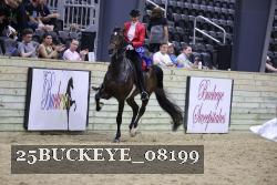 25BUCKEYE_08199 proof