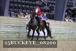 25BUCKEYE_08200 proof