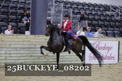 25BUCKEYE_08202 proof