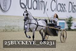 25BUCKEYE_08231 proof