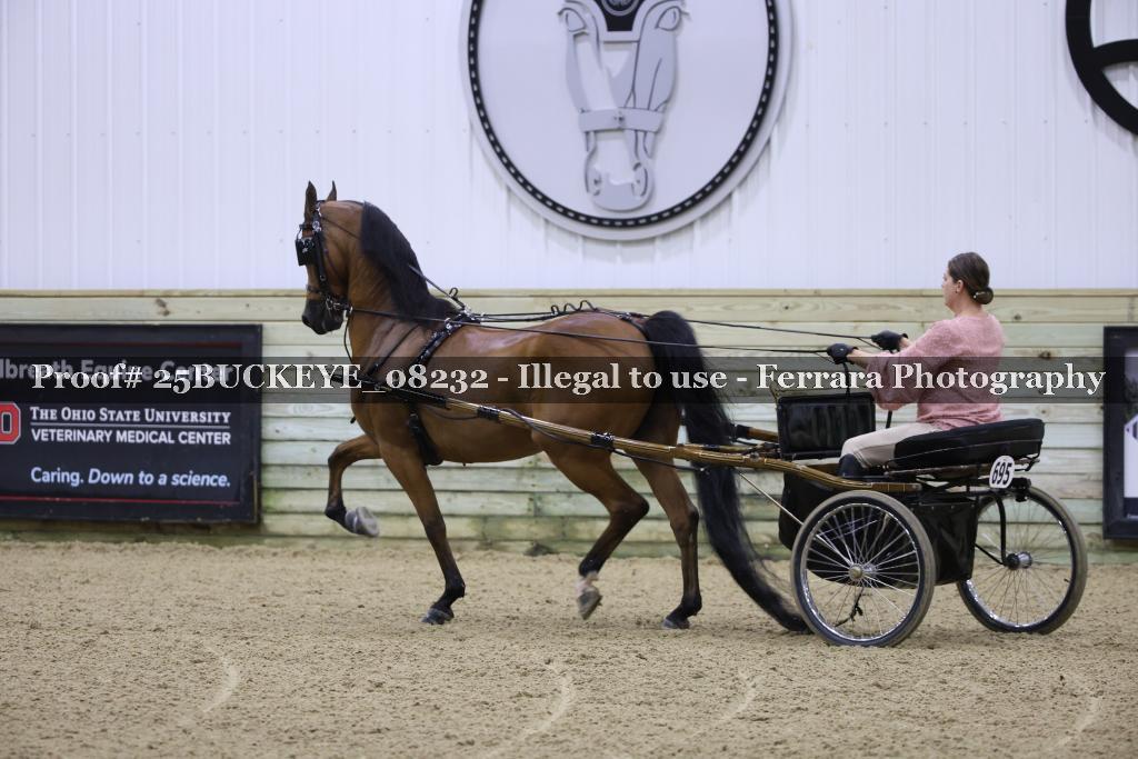 Proof 25BUCKEYE_08232