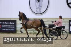 25BUCKEYE_08232 proof