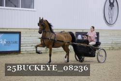 25BUCKEYE_08236 proof
