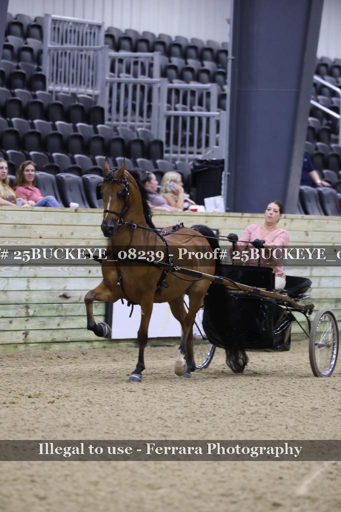 Proof 25BUCKEYE_08239