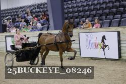 25BUCKEYE_08246 proof