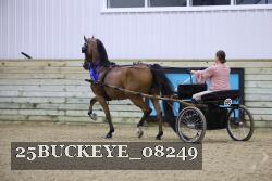 25BUCKEYE_08249 proof