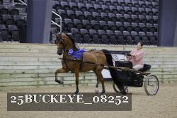 25BUCKEYE_08252 proof