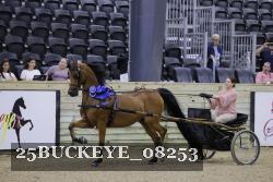 25BUCKEYE_08253 proof