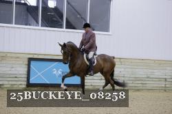 25BUCKEYE_08258 proof
