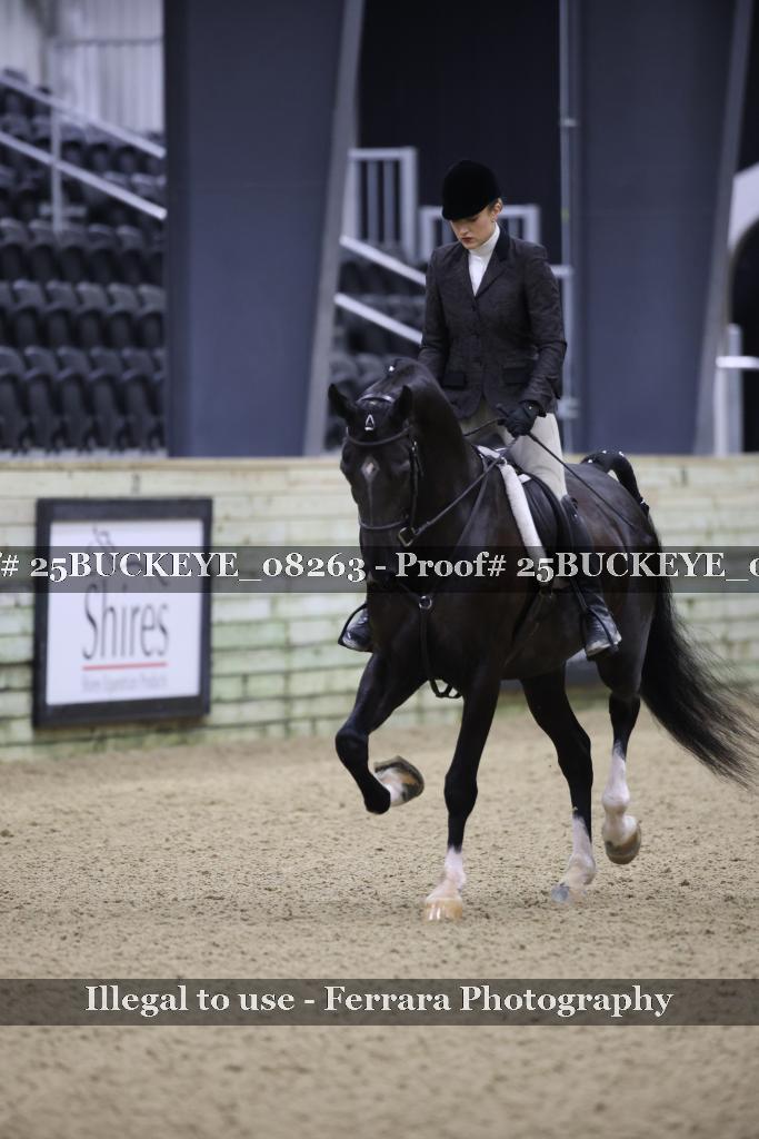 Proof 25BUCKEYE_08263