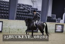 25BUCKEYE_08282 proof