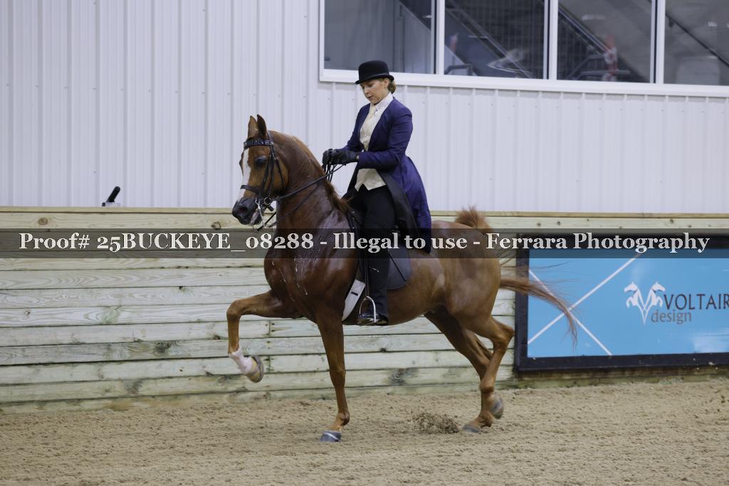 Proof 25BUCKEYE_08288