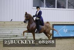 25BUCKEYE_08288 proof