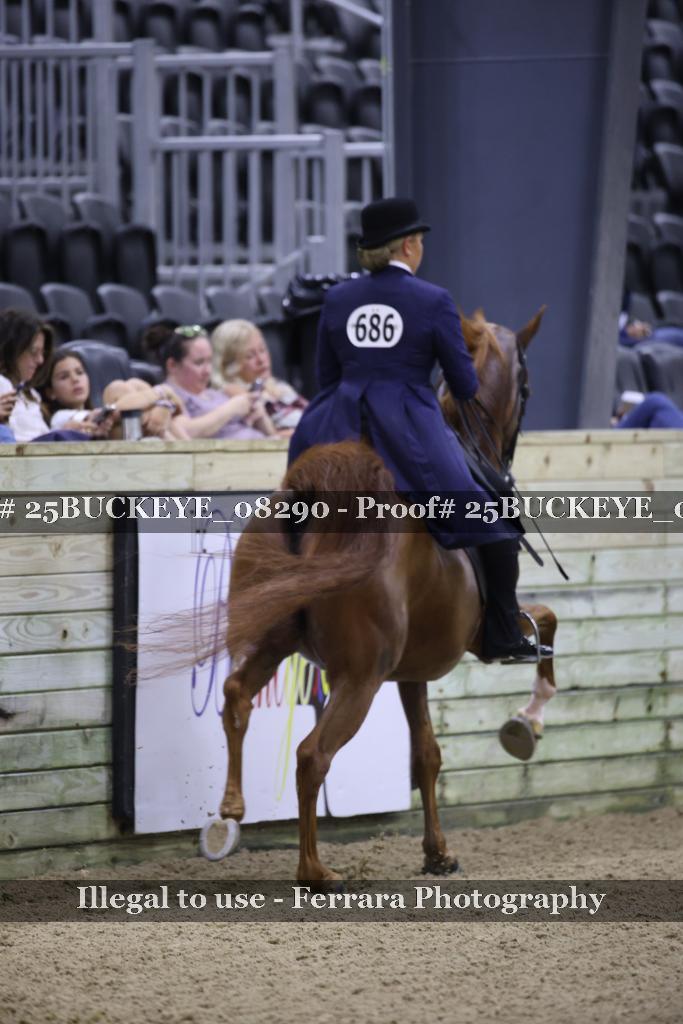 Proof 25BUCKEYE_08290