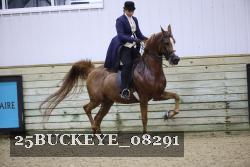 25BUCKEYE_08291 proof
