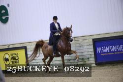 25BUCKEYE_08292 proof
