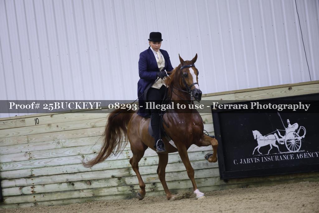 Proof 25BUCKEYE_08293