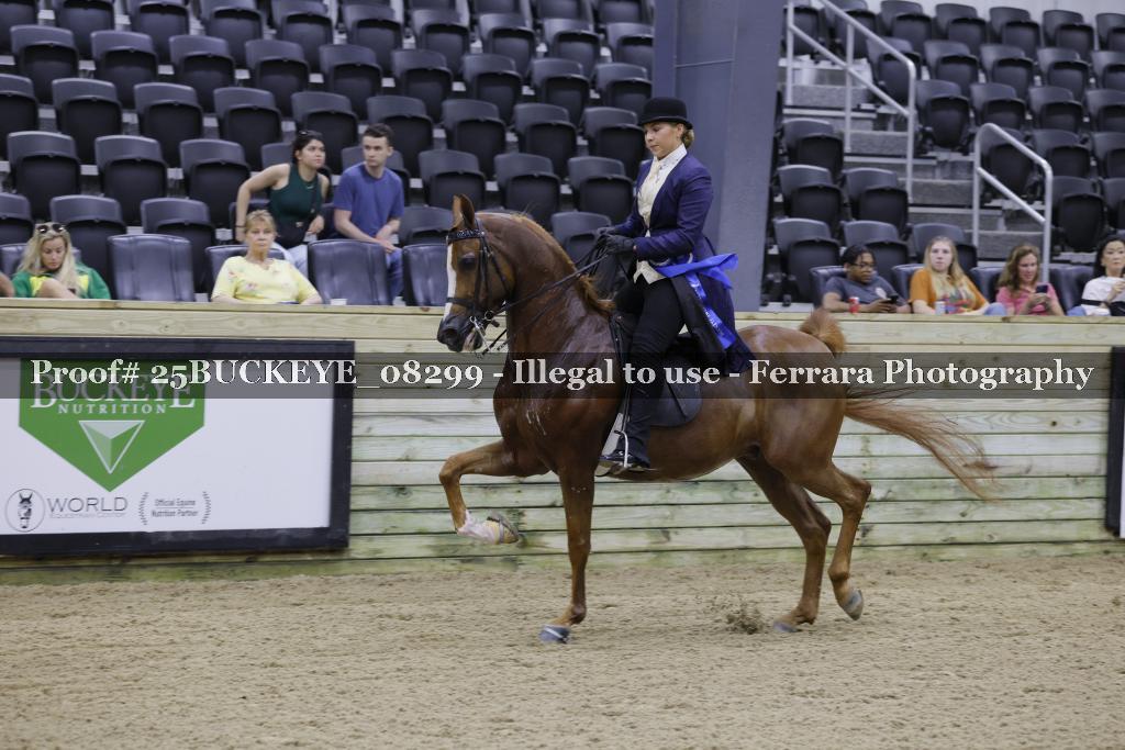 Proof 25BUCKEYE_08299
