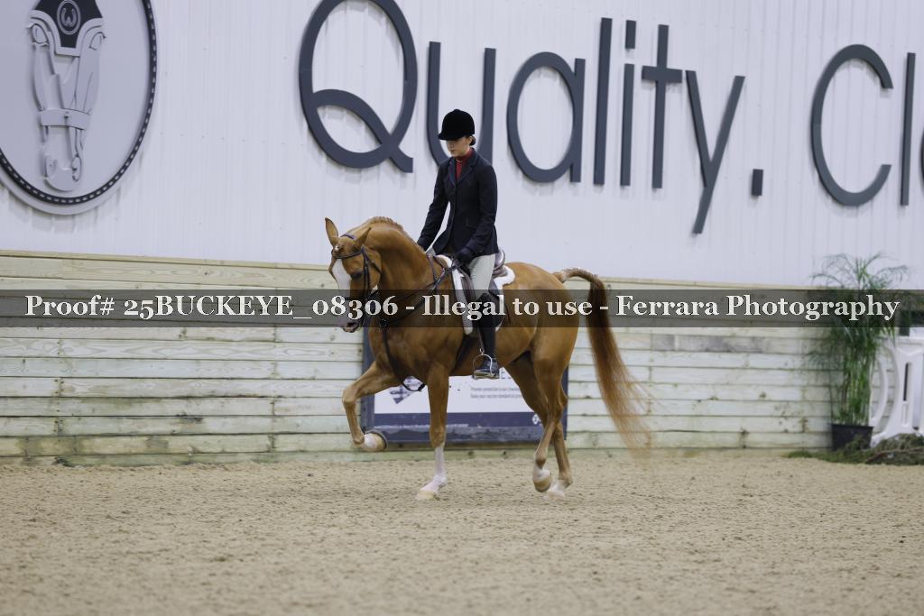 Proof 25BUCKEYE_08306