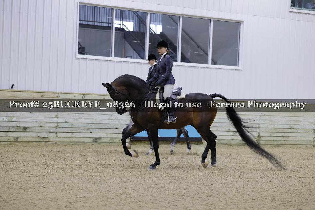 Proof 25BUCKEYE_08326