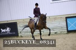25BUCKEYE_08341 proof