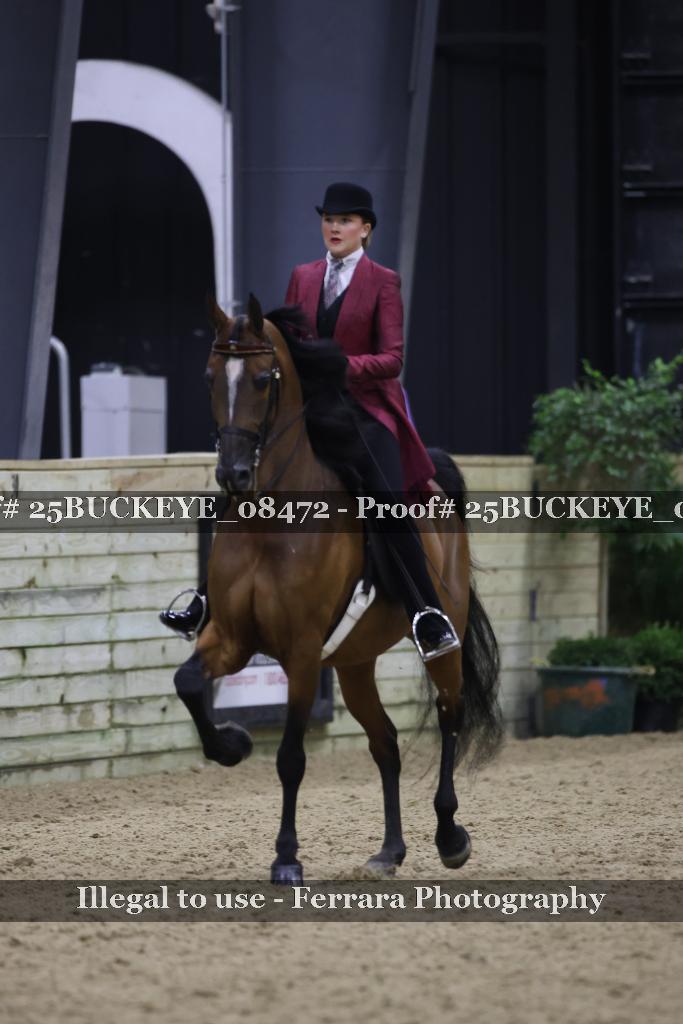 Proof 25BUCKEYE_08472
