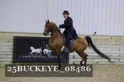 25BUCKEYE_08486 proof