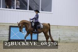 25BUCKEYE_08570 proof