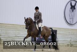 25BUCKEYE_08602 proof