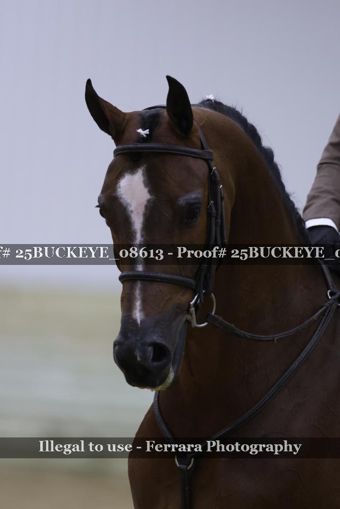 Proof 25BUCKEYE_08613