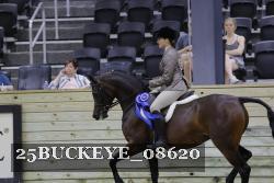 25BUCKEYE_08620 proof