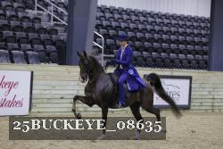 25BUCKEYE_08635 proof