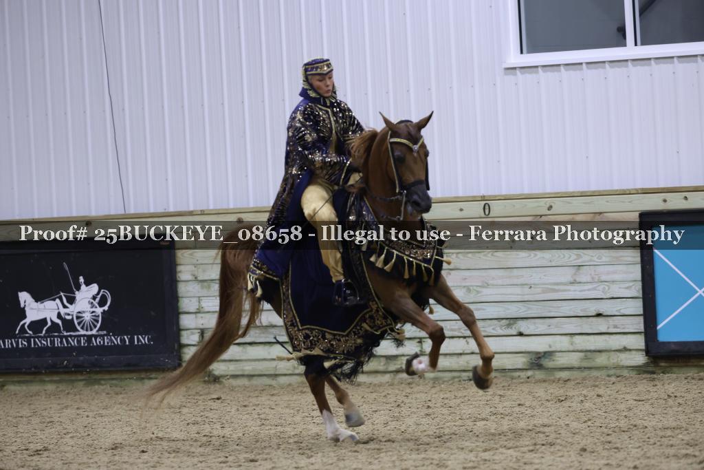 Proof 25BUCKEYE_08658