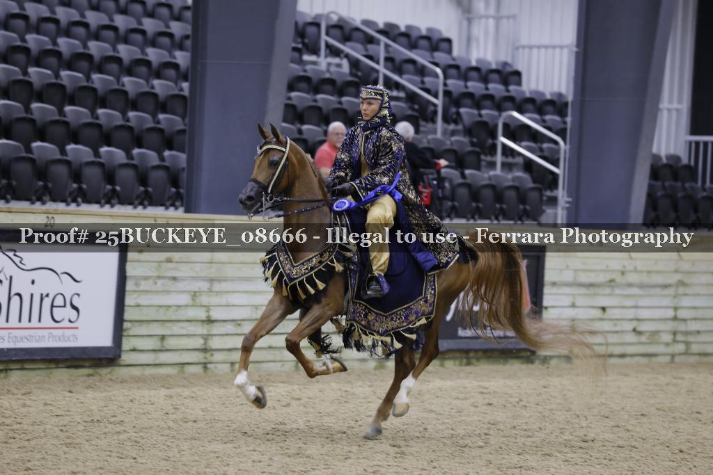 Proof 25BUCKEYE_08666