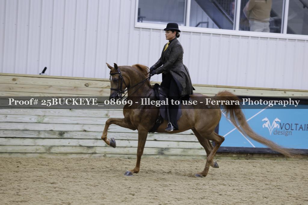 Proof 25BUCKEYE_08669