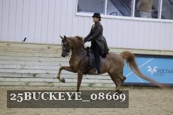 25BUCKEYE_08669 proof