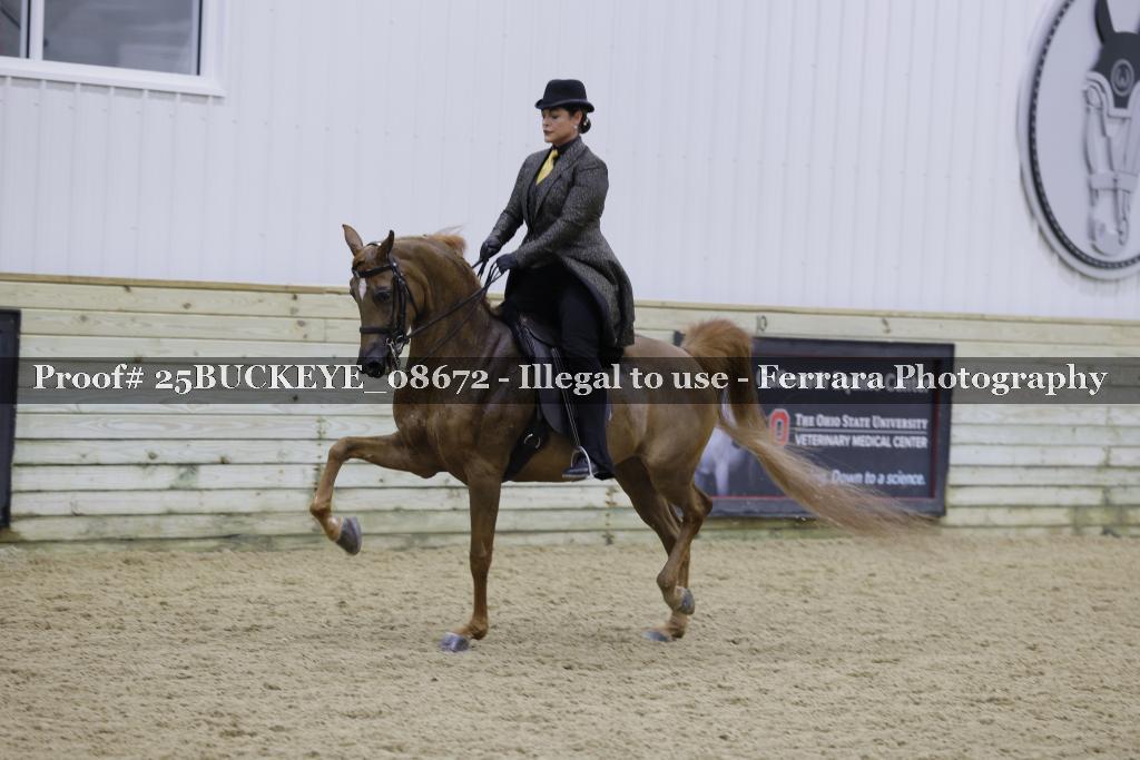 Proof 25BUCKEYE_08672