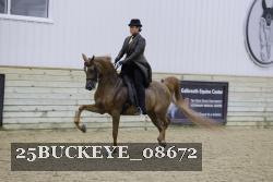 25BUCKEYE_08672 proof
