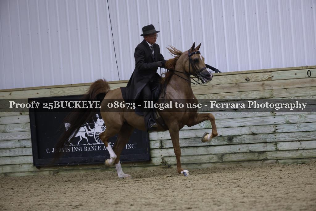 Proof 25BUCKEYE_08673