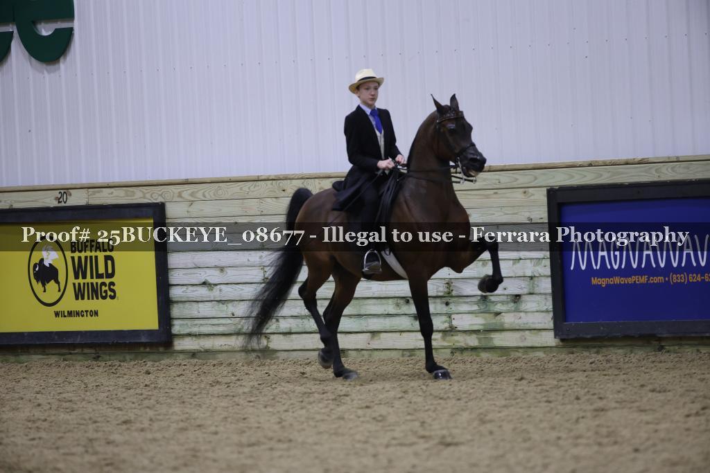 Proof 25BUCKEYE_08677